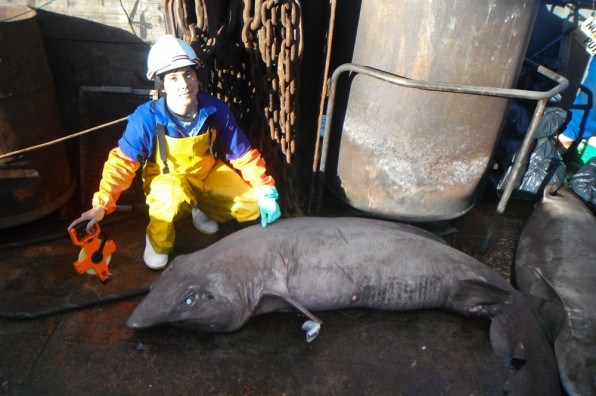 Paul Clerkin in NBC News