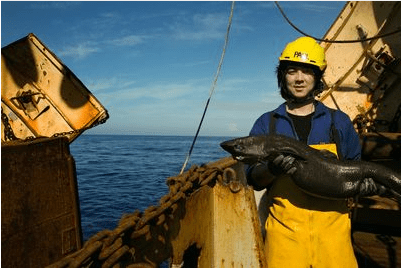 Paul Clerkin with Shark Week 2014, photo courtesy Discovery Studios